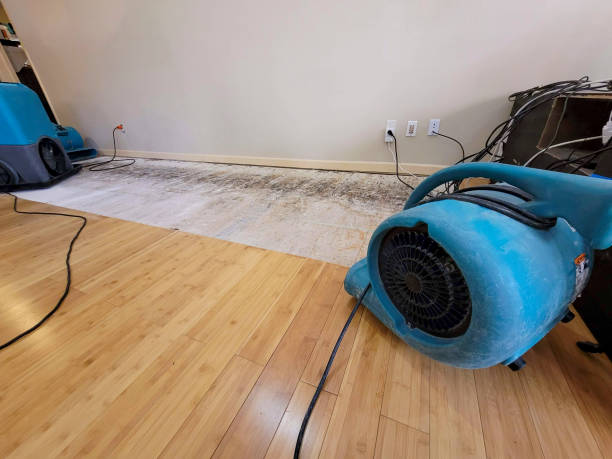 Professional Sewage Cleanup technician working in Eglin AFB, FL